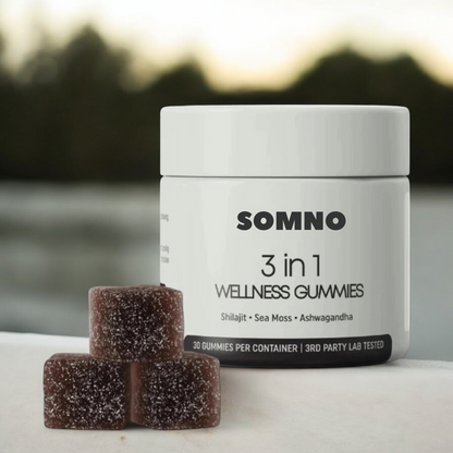 Somno 3-в-1 Wellness Gummies